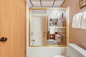 Swiss Mountain 1 Bedroom - S3705 1 Condo