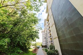 A Beary Good Getaway 2 Bedroom Condo