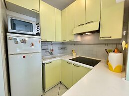 Luminous Flat With a big Terrace