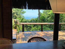 Rainforest Paradise