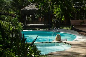 Rainforest Paradise
