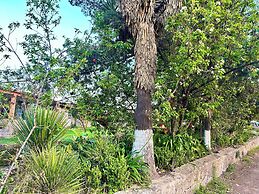 Hotel Las Palmas By GEstores