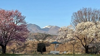 nunobikionsen komoro