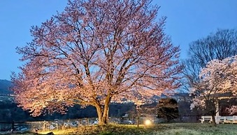 nunobikionsen komoro