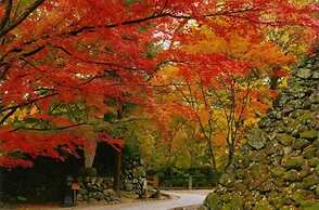 nunobikionsen komoro