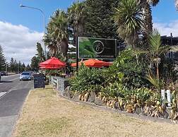 Orewa Beachcomber