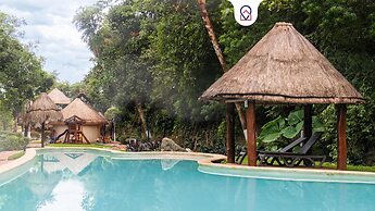 Apt with Pool & jungle in Puerto Morelos