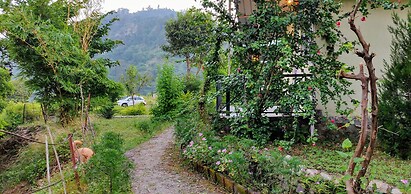 Shoolin Jungle Resort