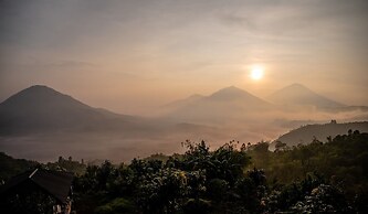 The Witari Kintamani