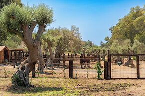 Sogno di Giove by Wonderful Italy