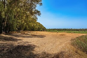 Sogno di Giove by Wonderful Italy