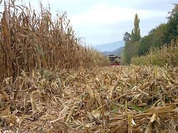 Fior di campo