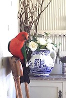 The Old Bakery in Historic Kangaroo Valley Village