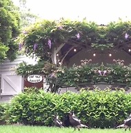 The Old Bakery in Historic Kangaroo Valley Village