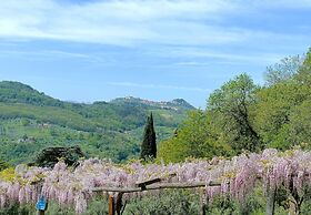 Agriturismo I Pitti
