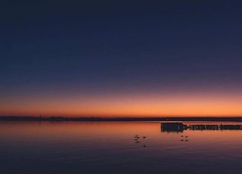 Wohnung auf Usedom mit Seeblick