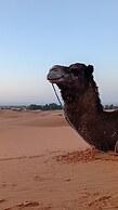 Sahara Camp Famille