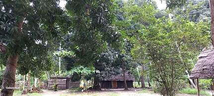 Kv Jungle Bungalows