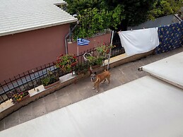 Aleka's House in Corfu Town