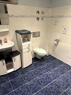 Large Apartment for 3-11 Guests in the Halle Leipzig Area