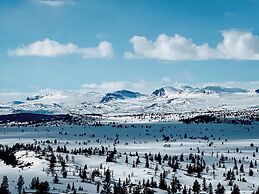 Modern Mountain Cabin - Outdoor Hot Tub - 8 Beds
