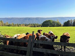 Modern Mountain Cabin - Outdoor Hot Tub - 8 Beds