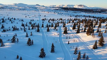 Modern Mountain Cabin - Outdoor Hot Tub - 8 Beds