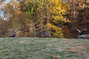 Rock Canyon Resort Trio