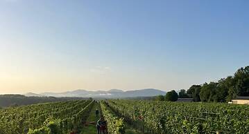 Afton Mountain Vineyards