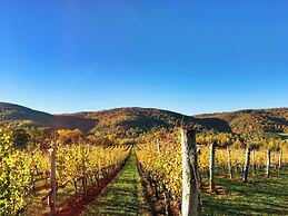 Afton Mountain Vineyards