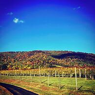 Afton Mountain Vineyards
