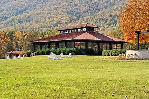 Afton Mountain Vineyards
