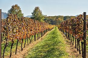 Afton Mountain Vineyards