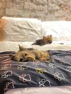 Villa Ayê Pousada Petfriendly