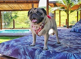 Villa Ayê Pousada Petfriendly