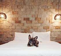 Villa Ayê Pousada Petfriendly