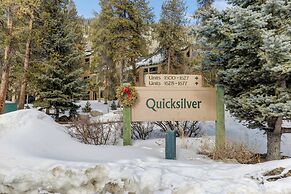 Quicksilver #1631