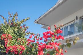 Gold Coast Photography Inn