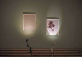 Itiseasy Palermo 1 Private Apartment