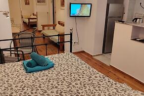 Large Studio/family Apartment
