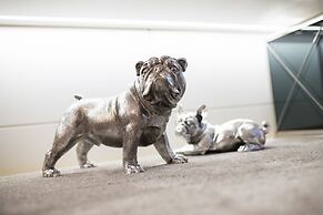 Downtown Prime by Homing