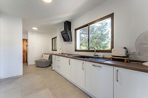 CT 262 - Flamingo Views