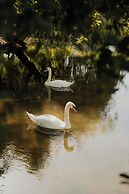 QUINTA DO PINHEIRO HOTEL E EVENTOS