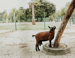 QUINTA DO PINHEIRO HOTEL E EVENTOS