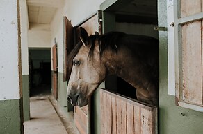 QUINTA DO PINHEIRO HOTEL E EVENTOS