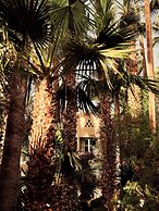 The Willows Palm Springs