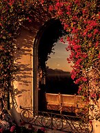 The Willows Palm Springs