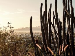 The Willows Palm Springs