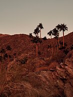 The Willows Palm Springs