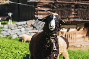 Alpenblick Appartements - 3-zimmer Ave Montis